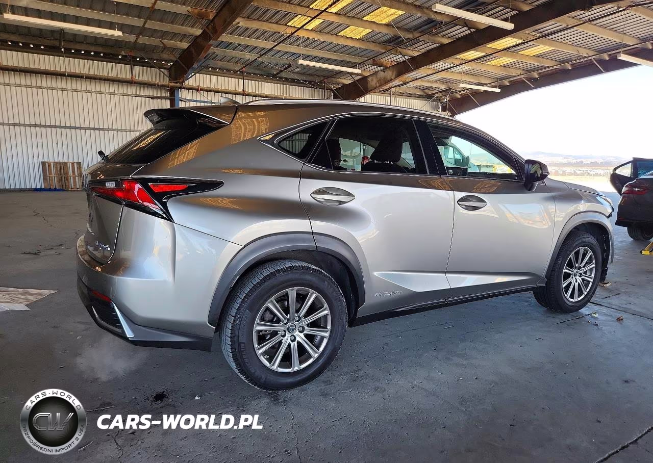 2020 Lexus Nx 300H VIN:JTJDJRDZ7L2134232 - 3