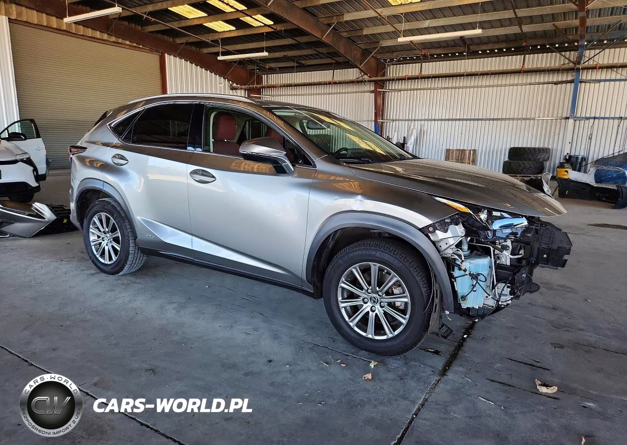 2020 Lexus Nx 300H VIN:JTJDJRDZ7L2134232 - 4