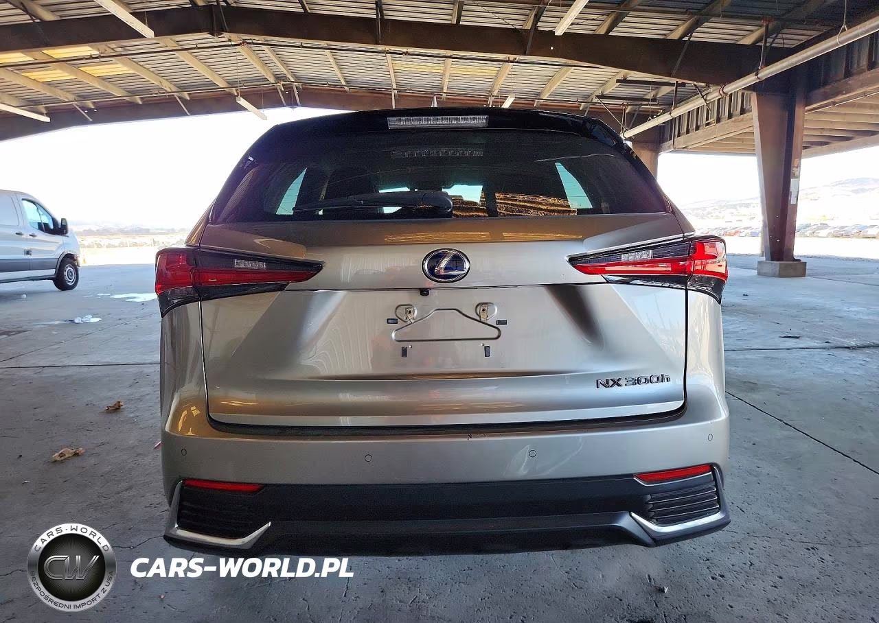 2020 Lexus Nx 300H VIN:JTJDJRDZ7L2134232 - 6