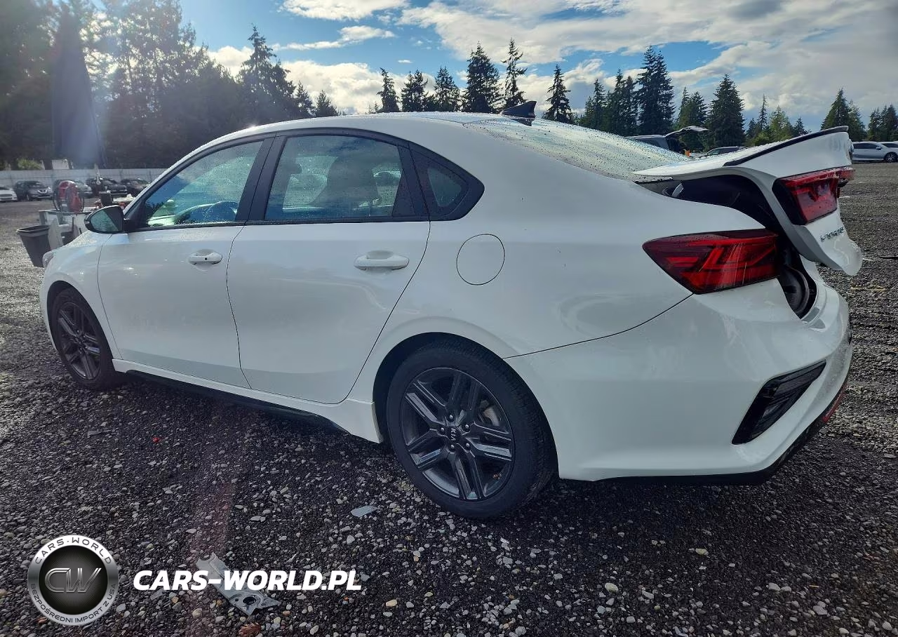 2020 Kia Forte Gt Line VIN:3KPF34AD9LE218492 - 2