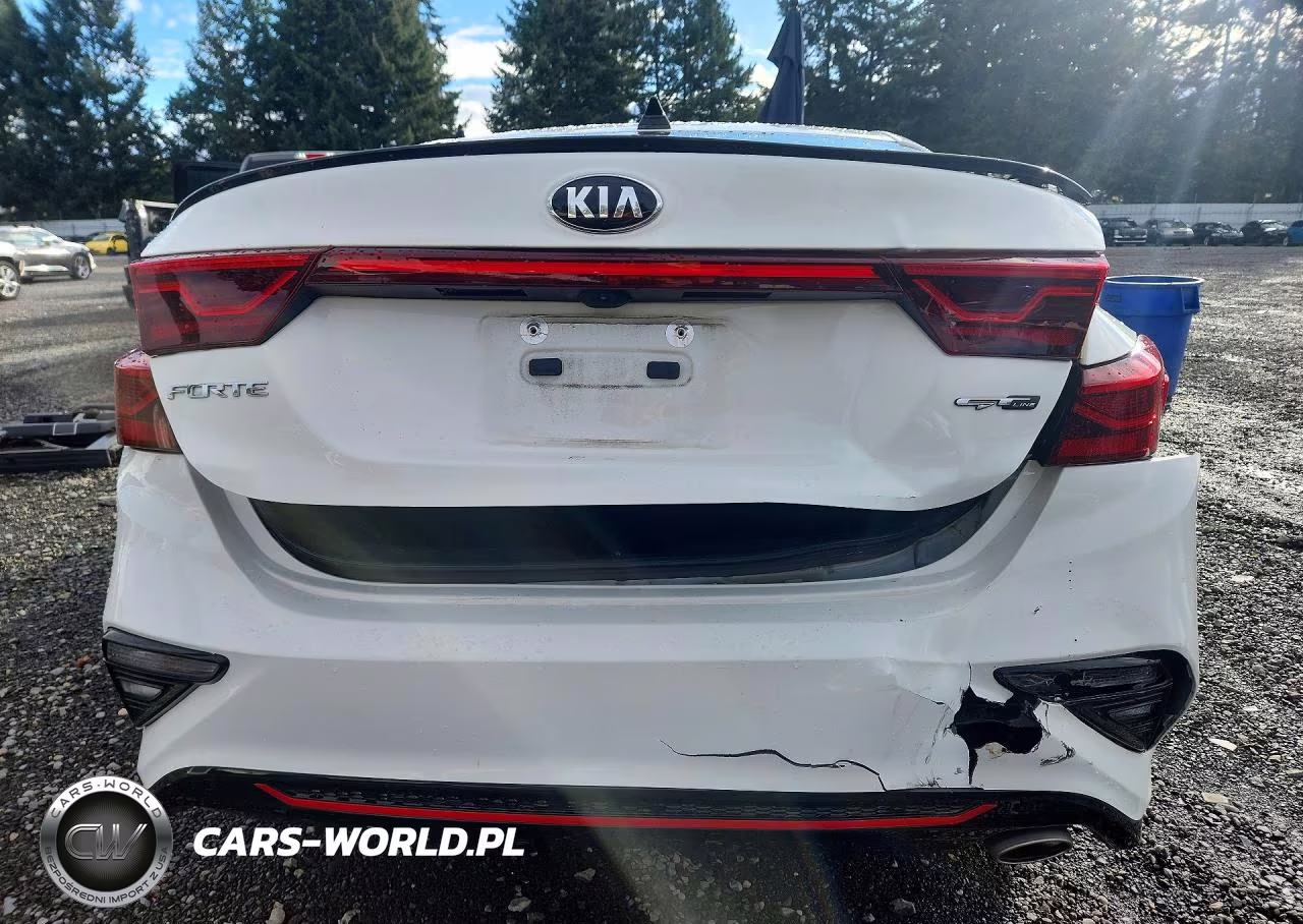 2020 Kia Forte Gt Line VIN:3KPF34AD9LE218492 - 6