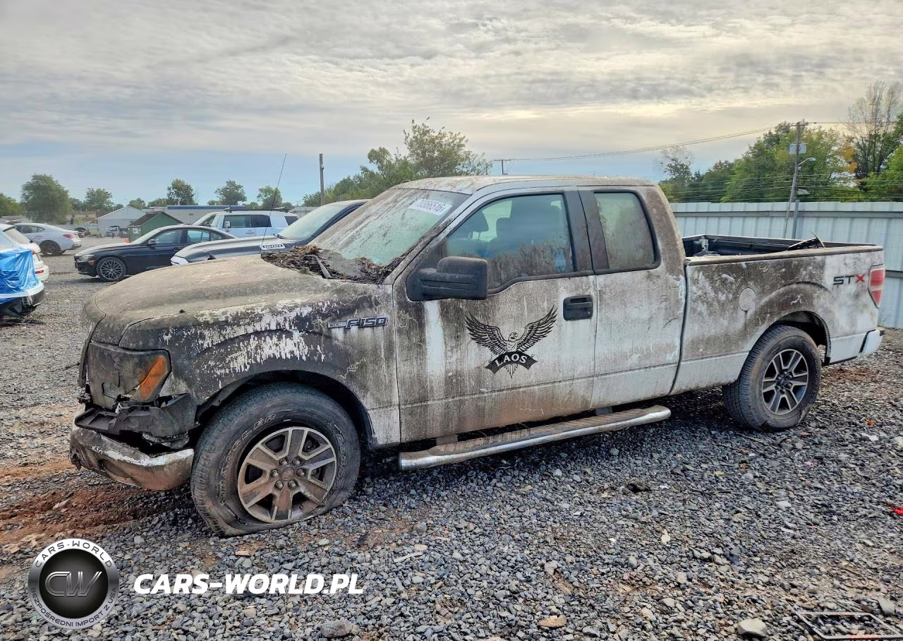 2011 Ford F150 Super Cab VIN:1FTEX1CM9BFA29504 - 1