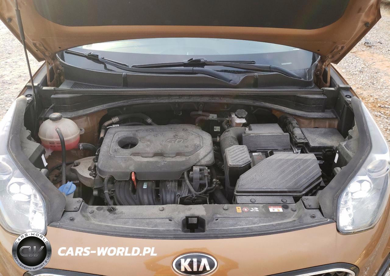 2021 Kia Sportage Lx VIN:KNDPM3AC7M7924770 - 12