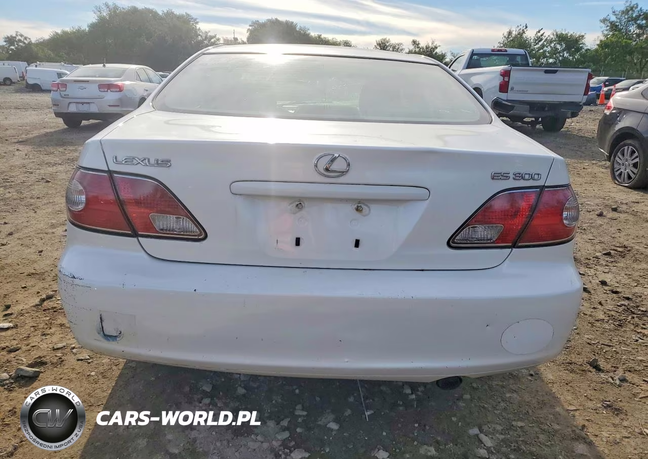 2003 Lexus Es 300 VIN:JTHBF30G735038918 - 6