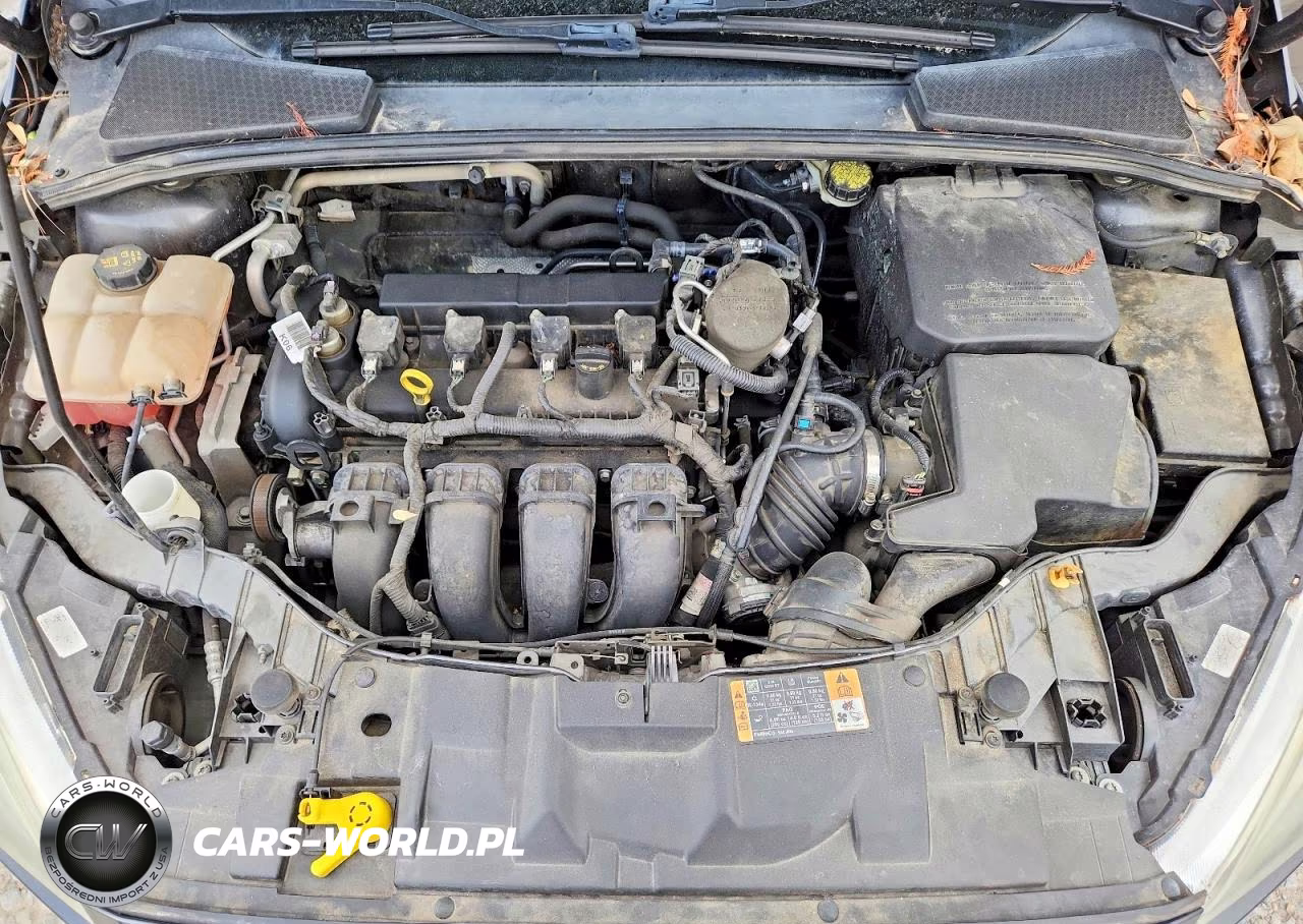 2015 Ford Focus Se VIN:1FADP3F29FL340686 - 11