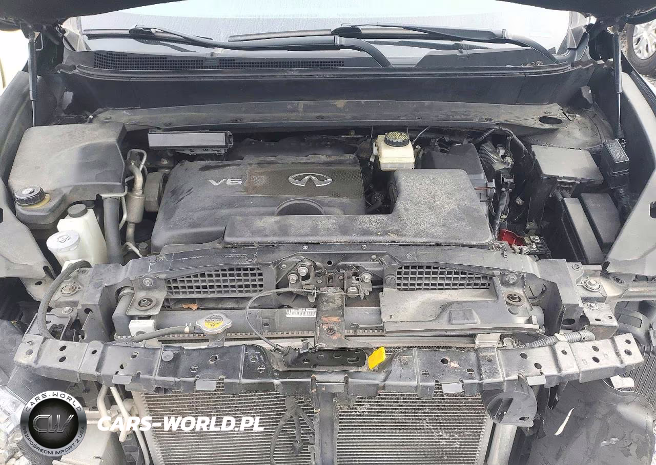 2020 Infiniti Qx60 VIN:5N1DL0MN1LC504599 - 12
