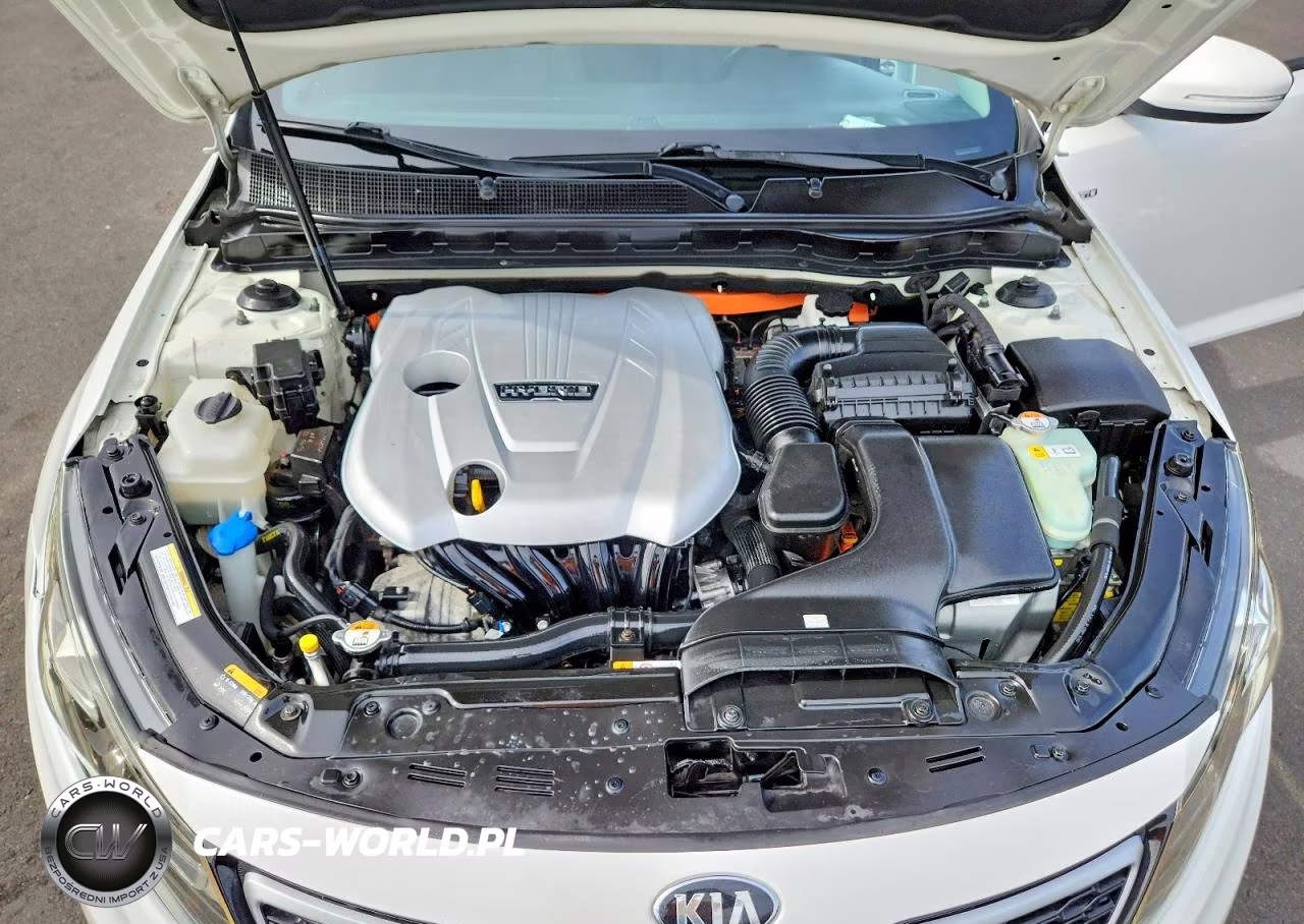 2013 Kia Optima Hybrid VIN:KNAGM4AD3D5052451 - 11