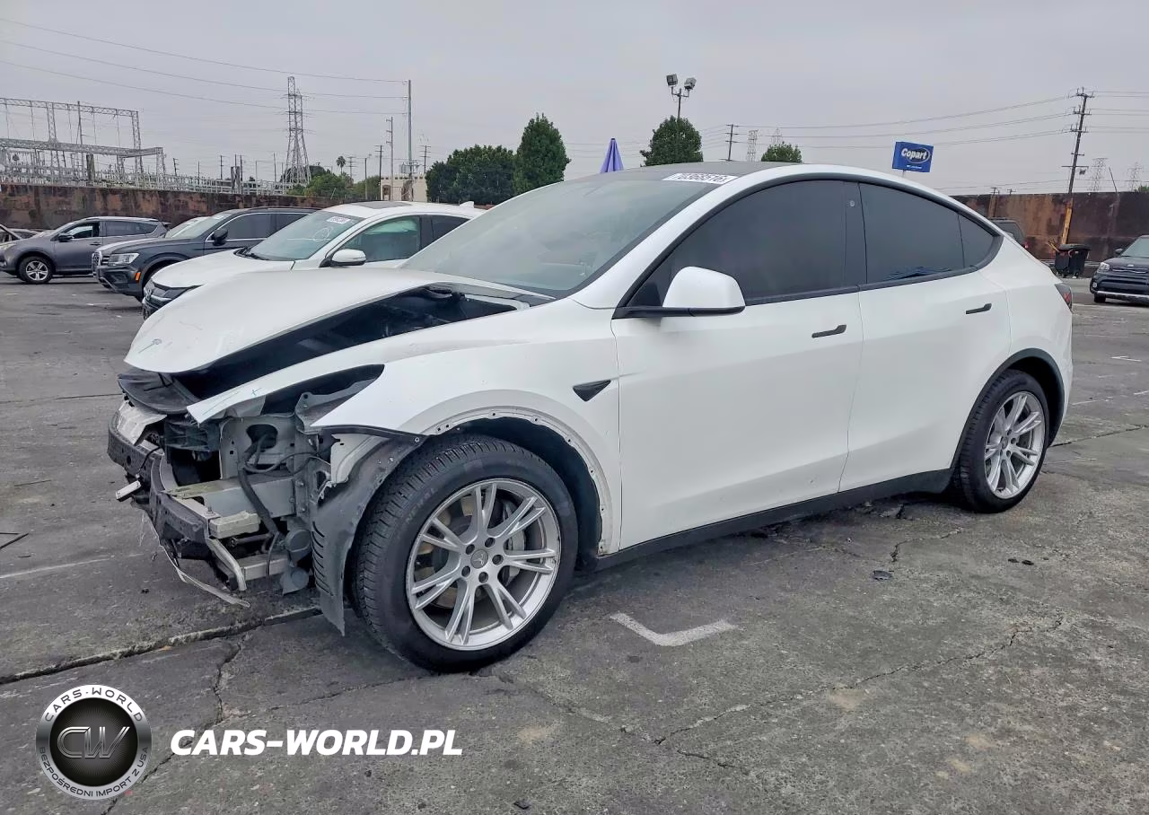 2020 Tesla Model Y