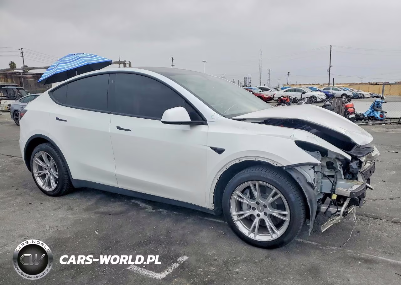 2020 Tesla Model Y VIN:5YJYGDEE2LF044999 - 4