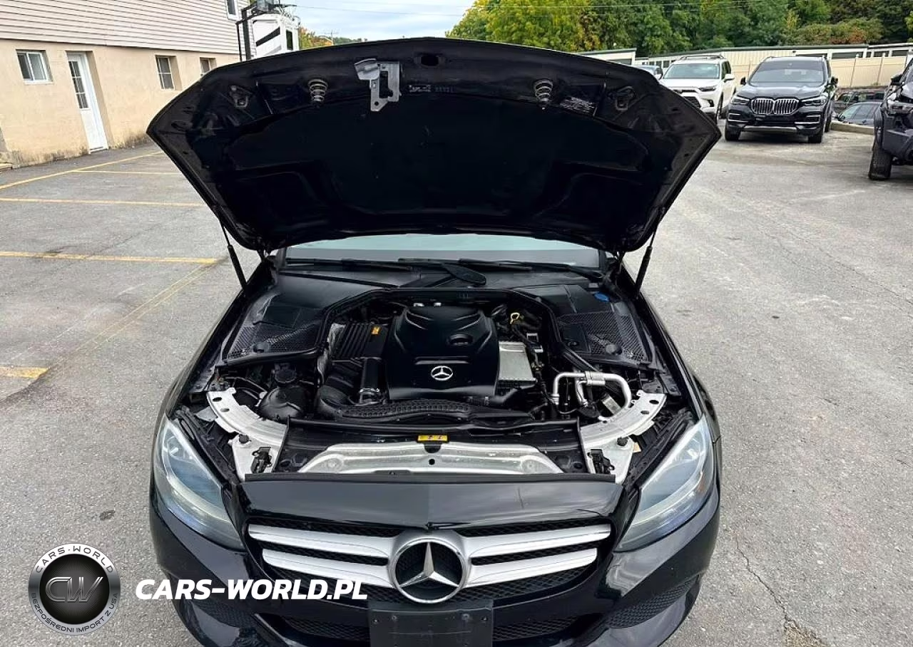 2017 Mercedes-Benz C 300 4Matic VIN:55SWF4KB2HU205166 - 9