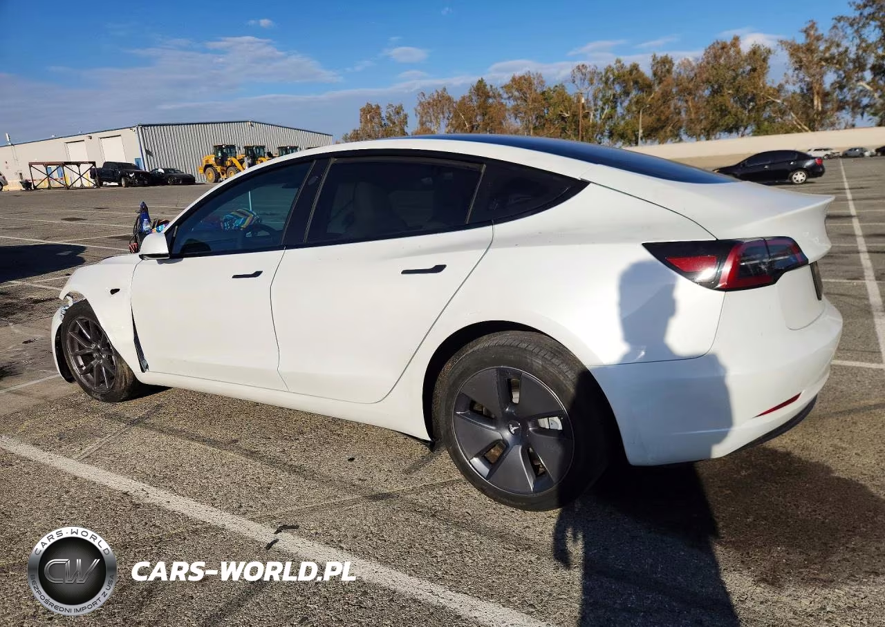 2023 Tesla Model 3 VIN:5YJ3E1EA0PF647385 - 2