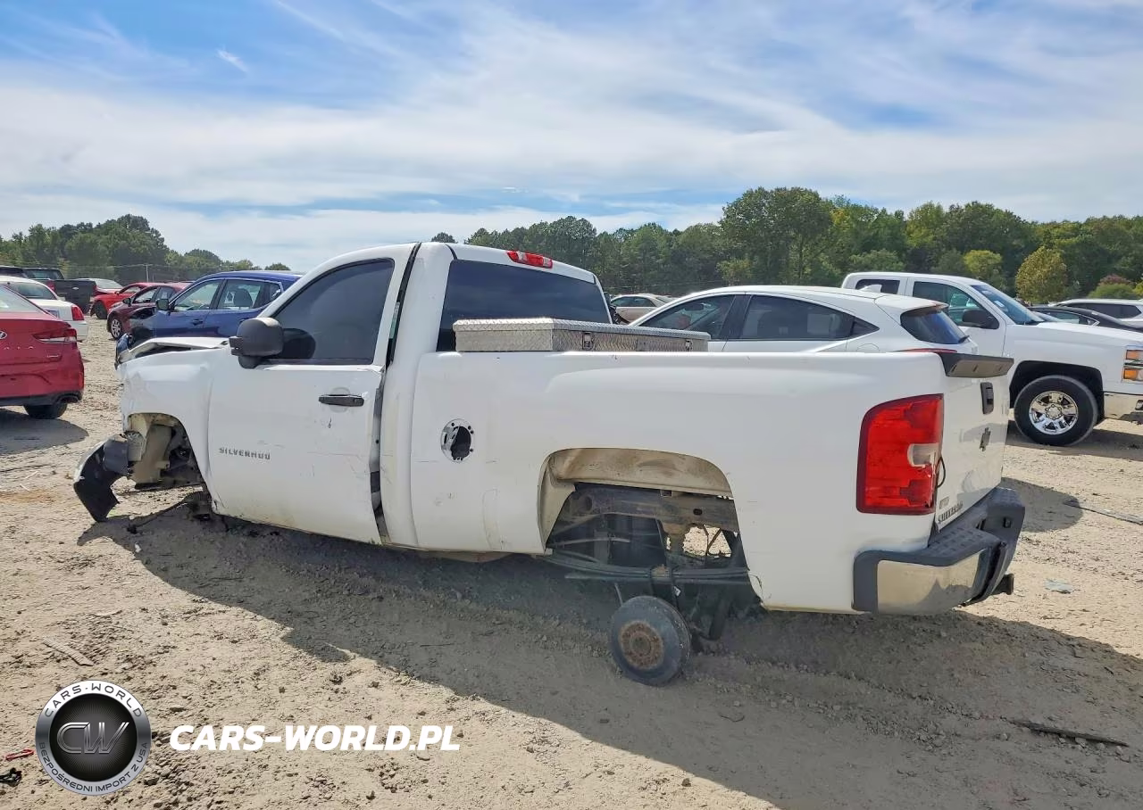 2012 Chevrolet Silverado 1500 Work Truck VIN:1GCNCPEA0CZ317994 - 2