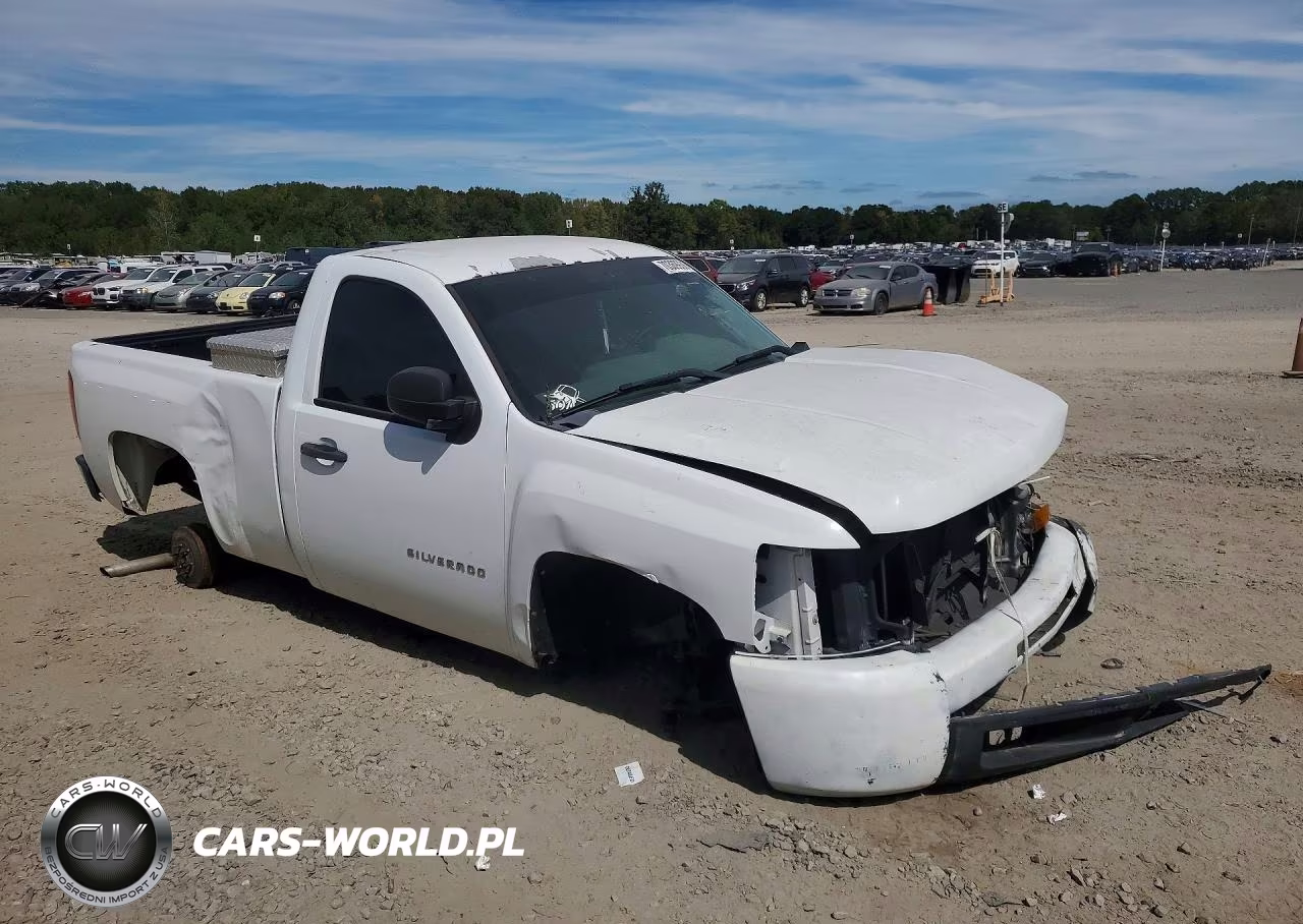 2012 Chevrolet Silverado 1500 Work Truck VIN:1GCNCPEA0CZ317994 - 4