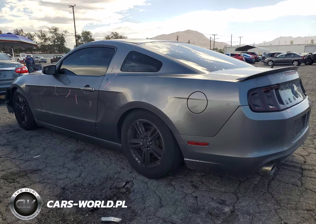 2013 Ford Mustang VIN:1ZVBP8AM0D5282456 - 2