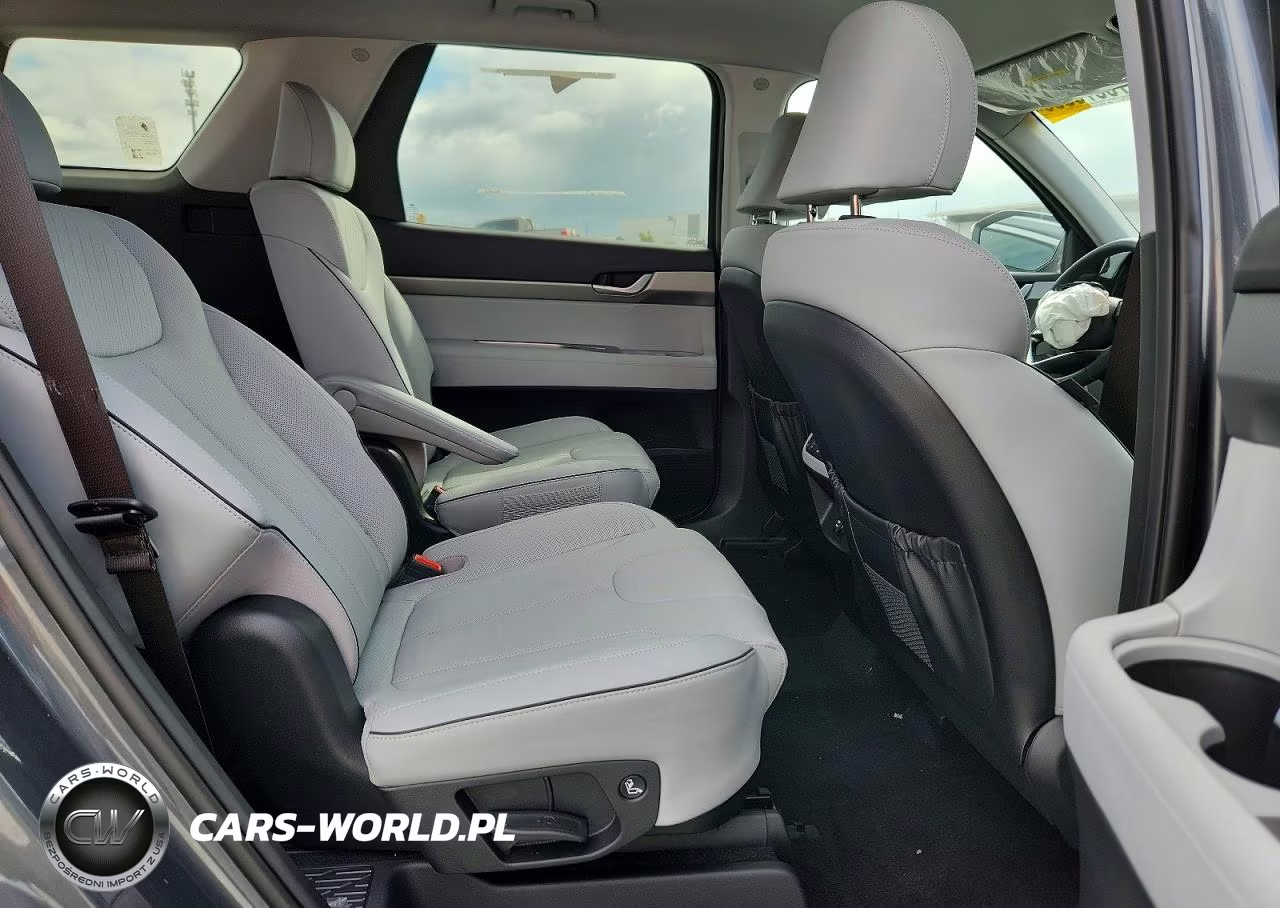 2025 Hyundai Palisade Sel VIN:KM8R24GE8SU916572 - 11