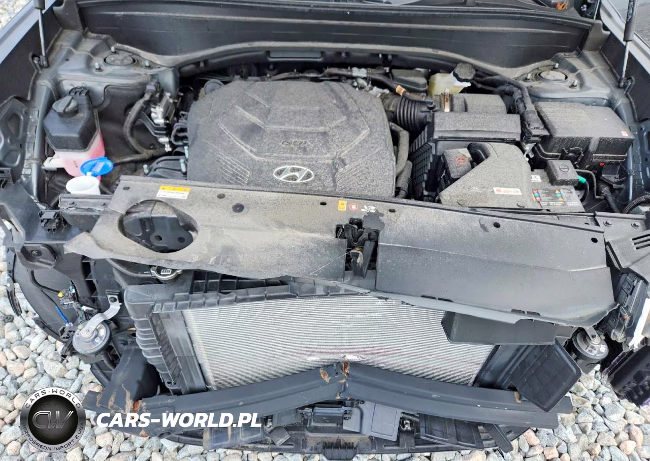 2025 Hyundai Palisade Sel VIN:KM8R24GE8SU916572 - 12