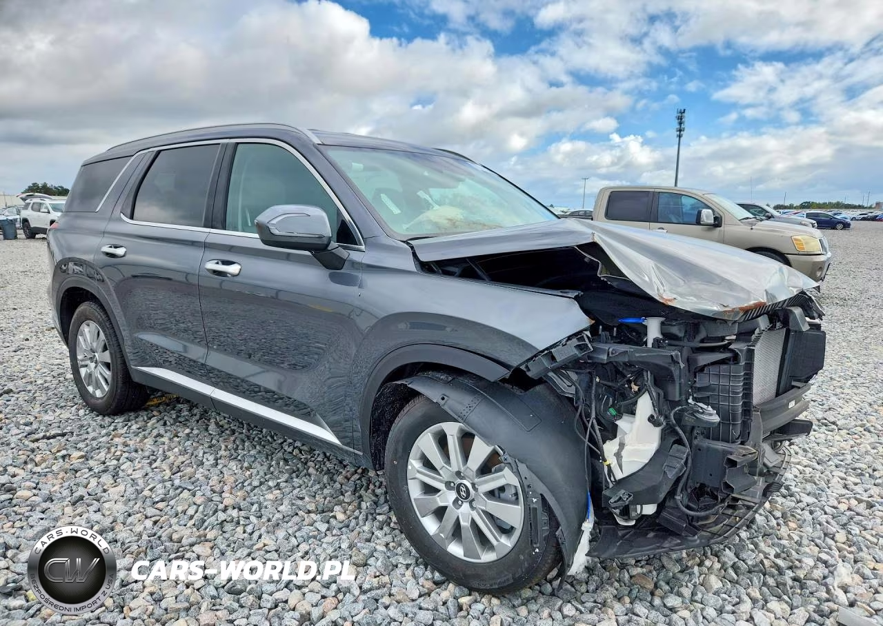 2025 Hyundai Palisade Sel VIN:KM8R24GE8SU916572 - 4