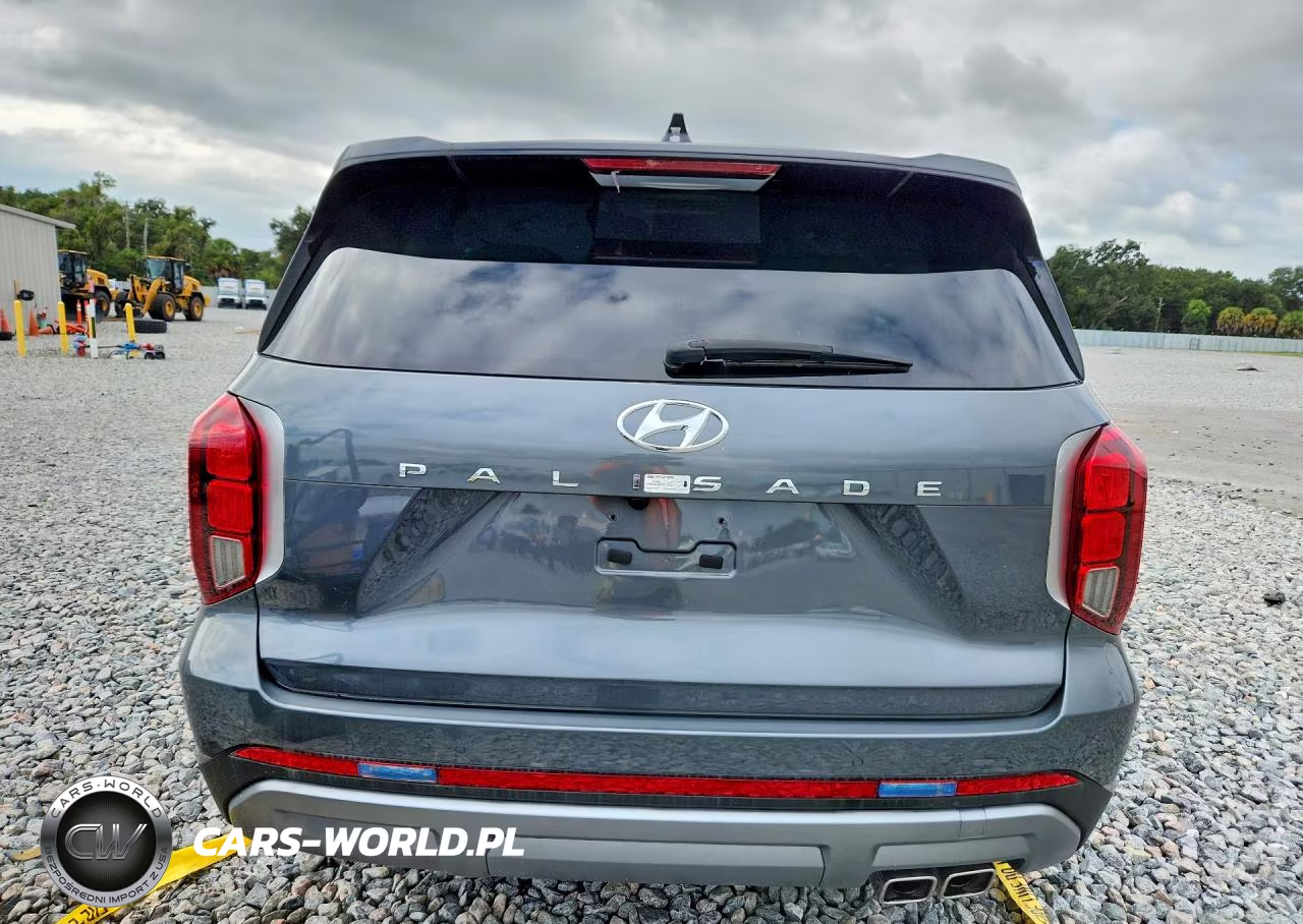 2025 Hyundai Palisade Sel VIN:KM8R24GE8SU916572 - 6