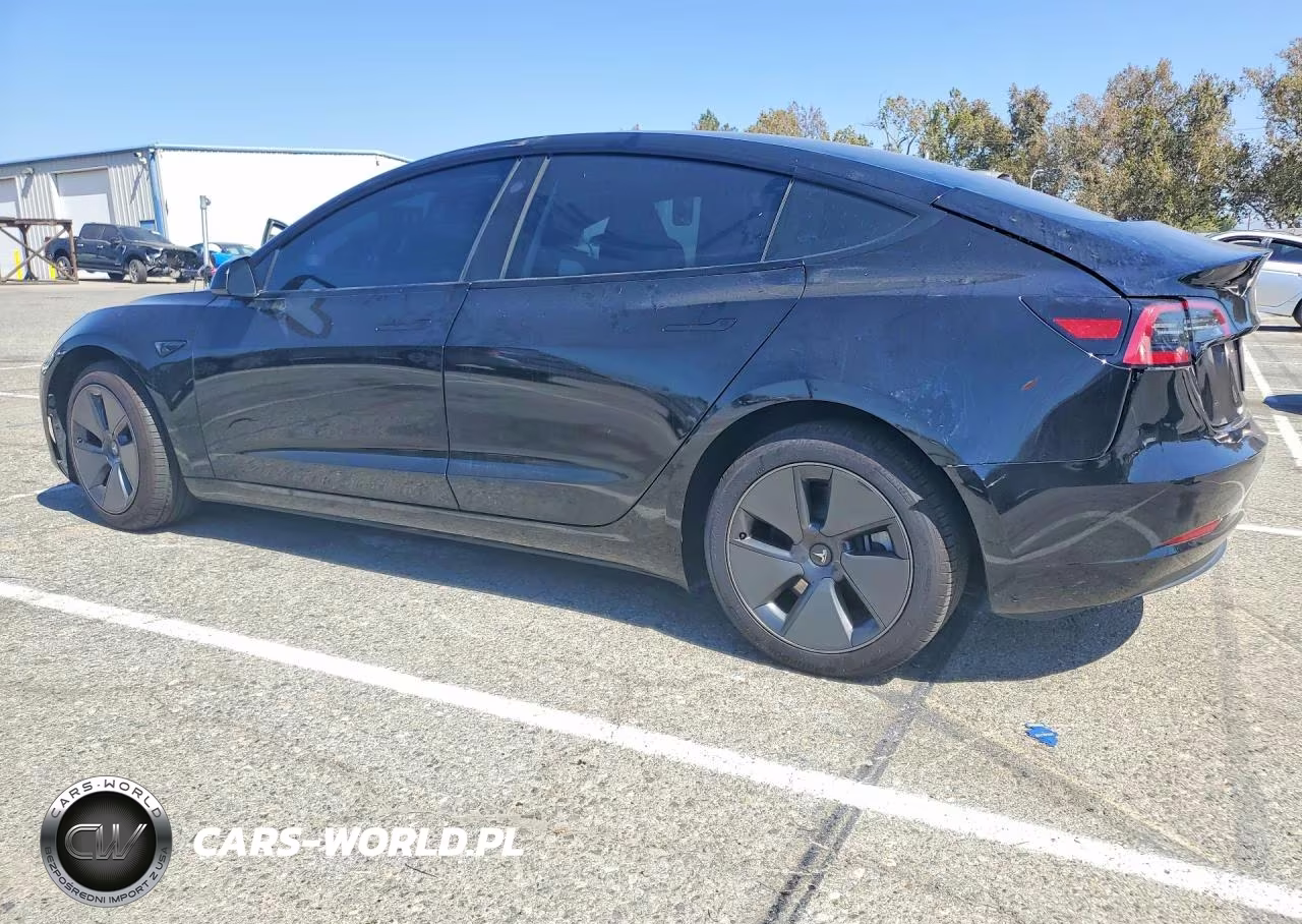 2023 Tesla Model 3 VIN:5YJ3E1EA1PF556951 - 2