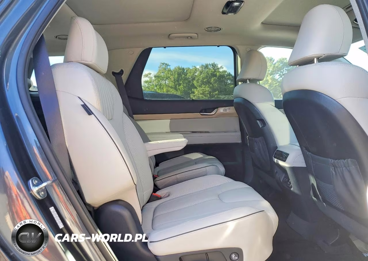2024 Hyundai Palisade Limited VIN:KM8R54GE9RU695081 - 11