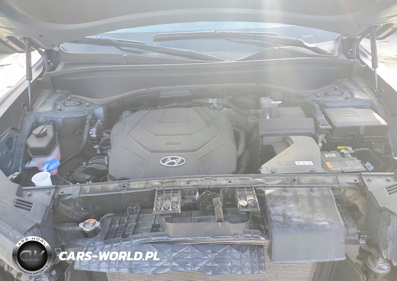 2024 Hyundai Palisade Limited VIN:KM8R54GE9RU695081 - 12