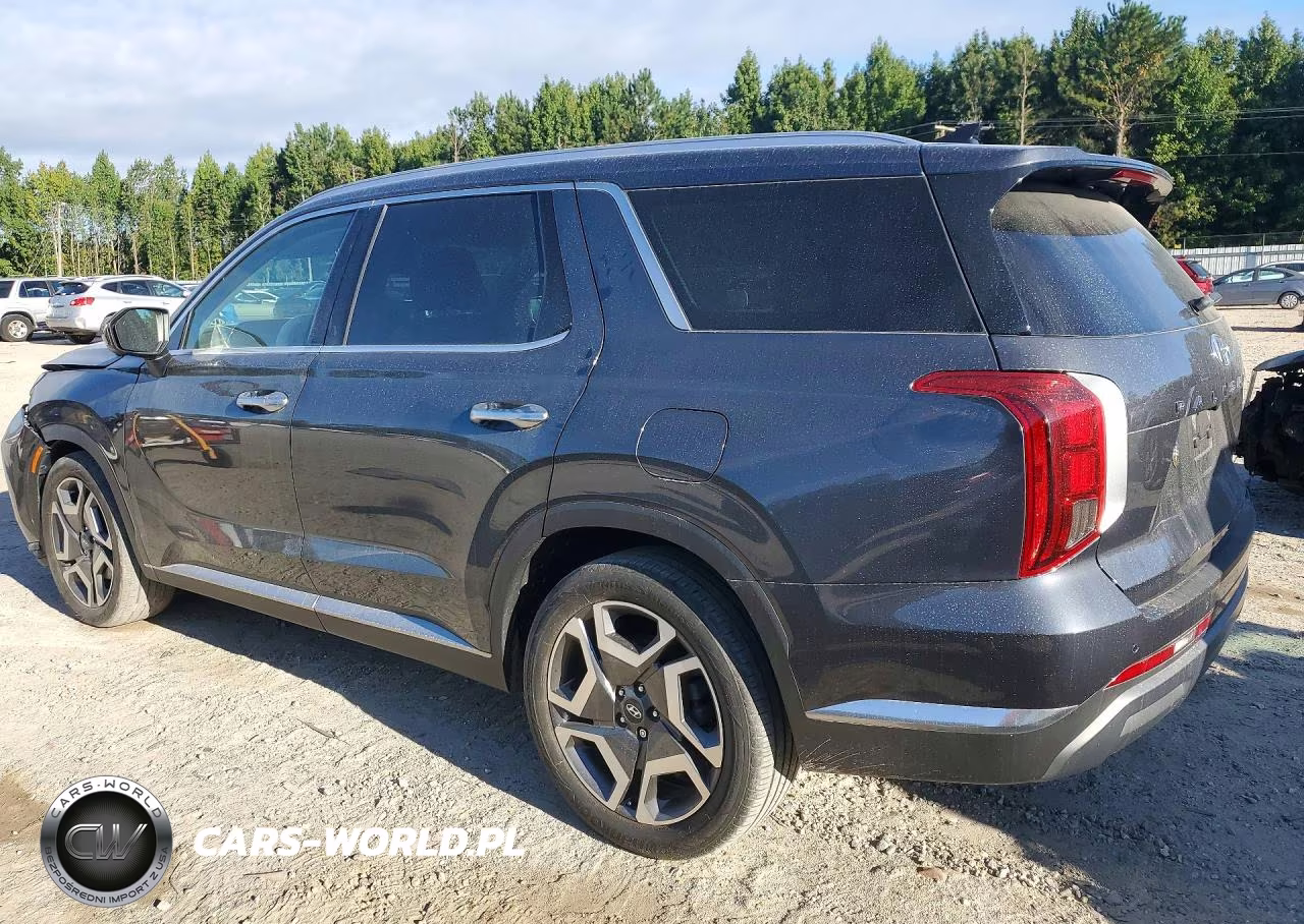 2024 Hyundai Palisade Limited VIN:KM8R54GE9RU695081 - 2