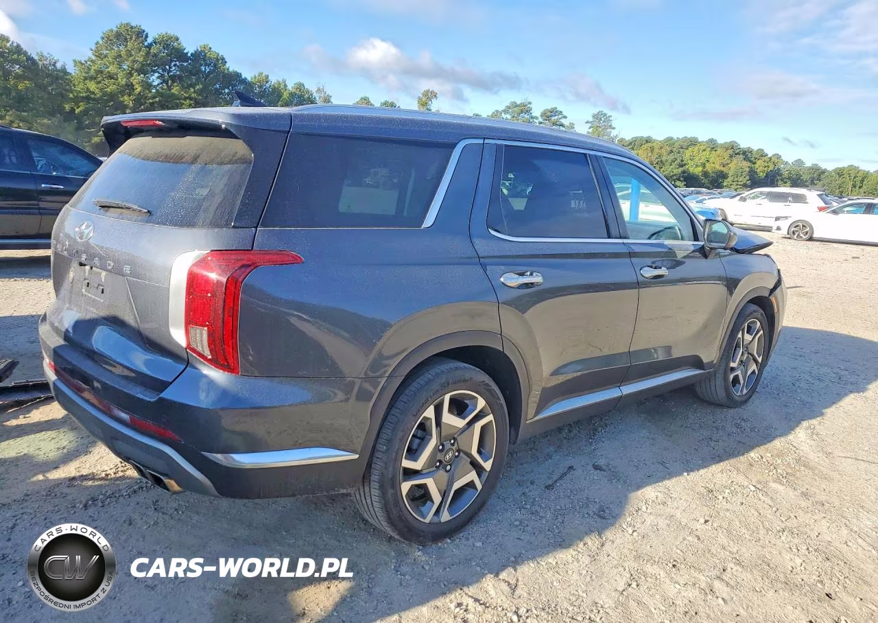 2024 Hyundai Palisade Limited VIN:KM8R54GE9RU695081 - 3
