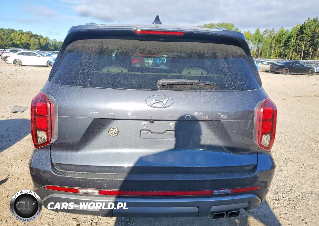 2024 Hyundai Palisade Limited VIN:KM8R54GE9RU695081 - 6