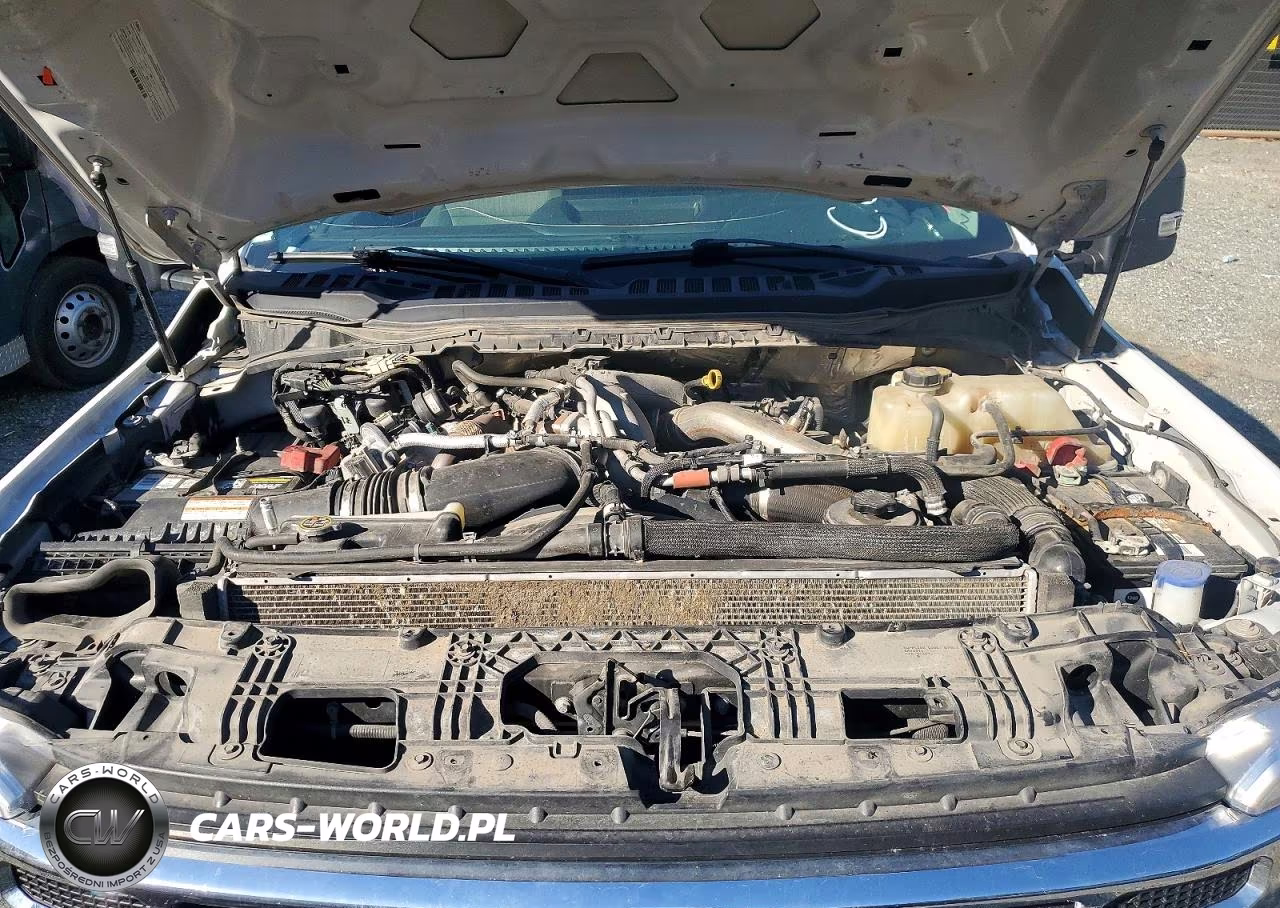 2024 Ford F350 Super Duty VIN:1FT8W3DM3REC03531 - 11