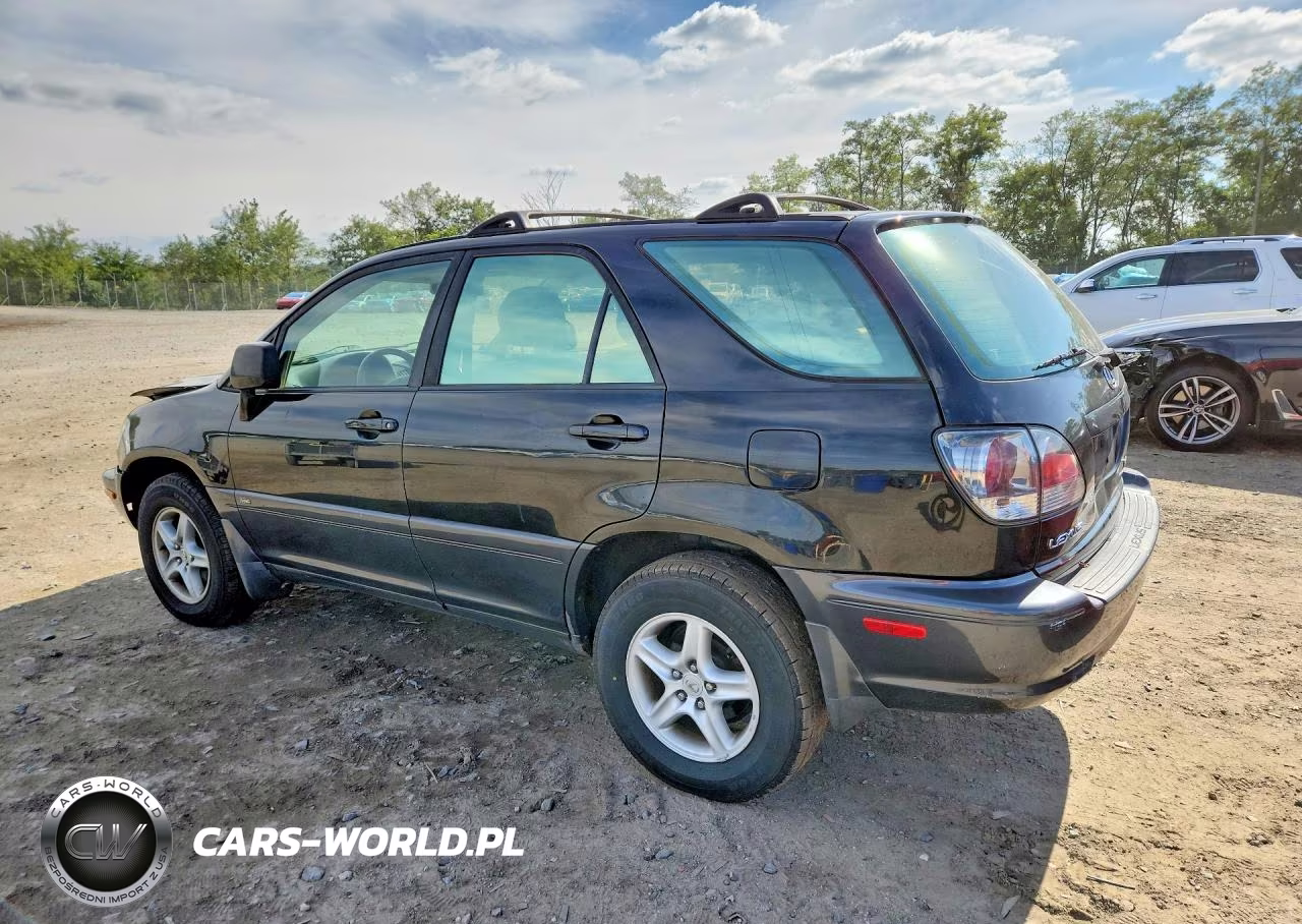 2001 Lexus Rx 300 VIN:JTJHF10U510228617 - 2