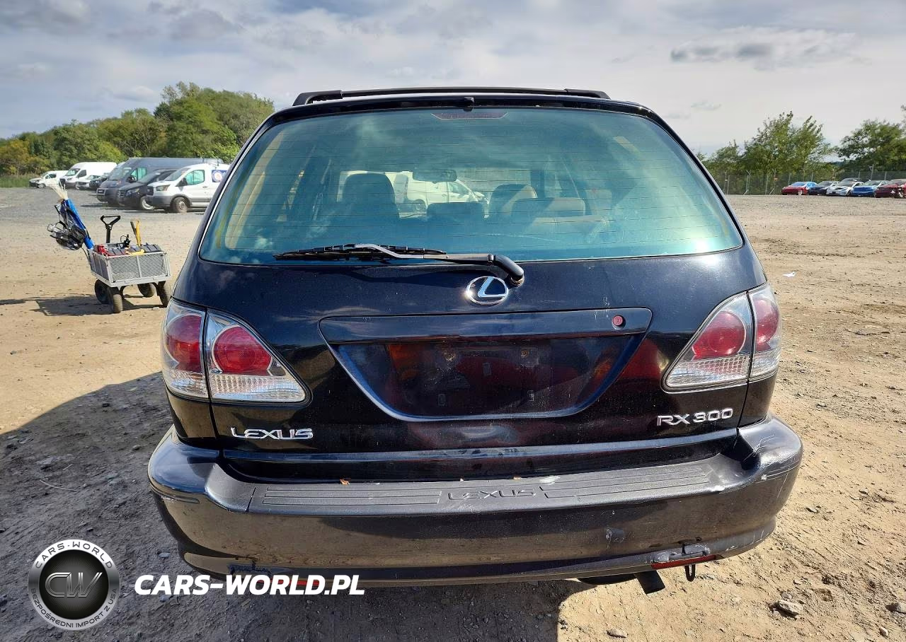 2001 Lexus Rx 300 VIN:JTJHF10U510228617 - 6