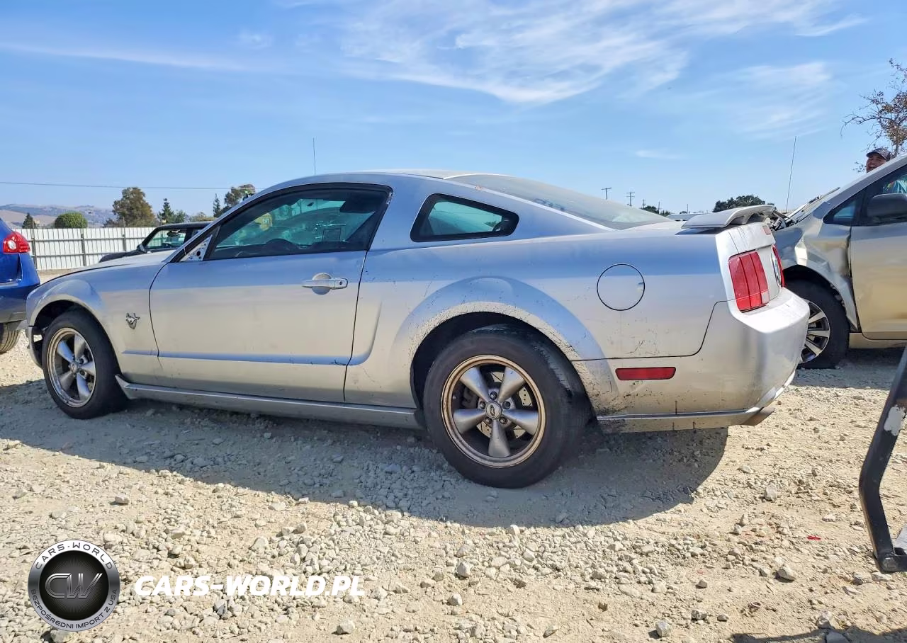 2009 Ford Mustang Gt VIN:1ZVHT82HX95103533 - 2
