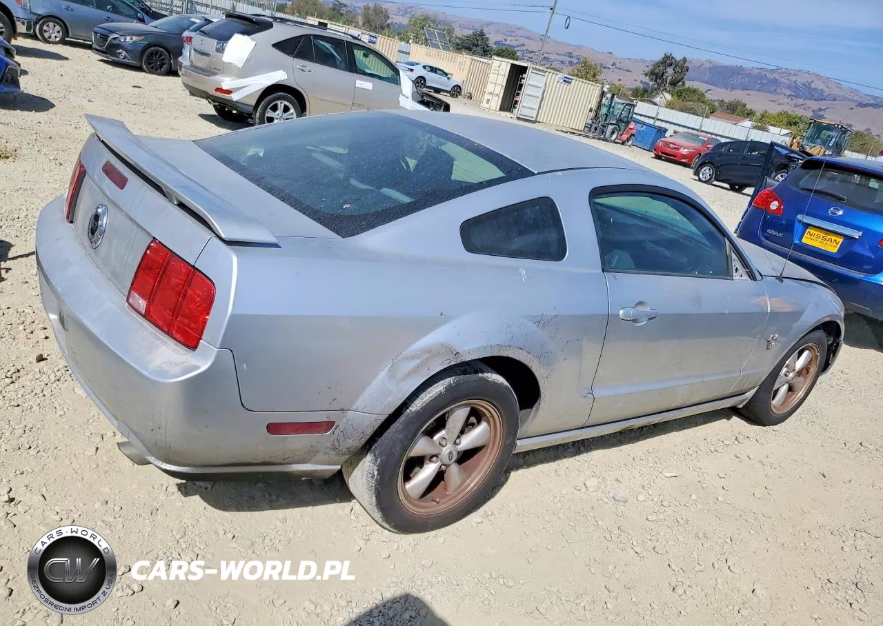 2009 Ford Mustang Gt VIN:1ZVHT82HX95103533 - 3