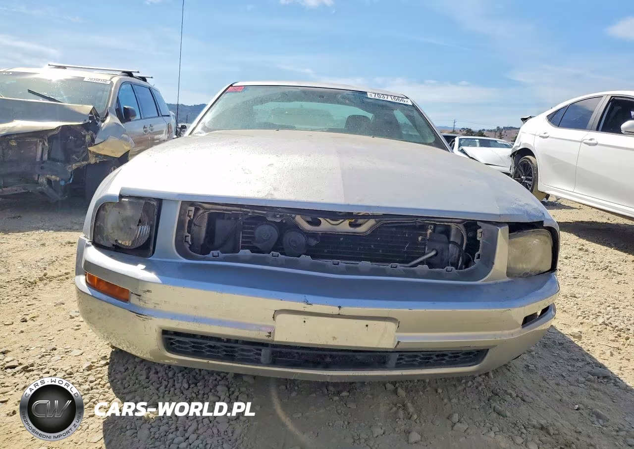 2009 Ford Mustang Gt VIN:1ZVHT82HX95103533 - 5