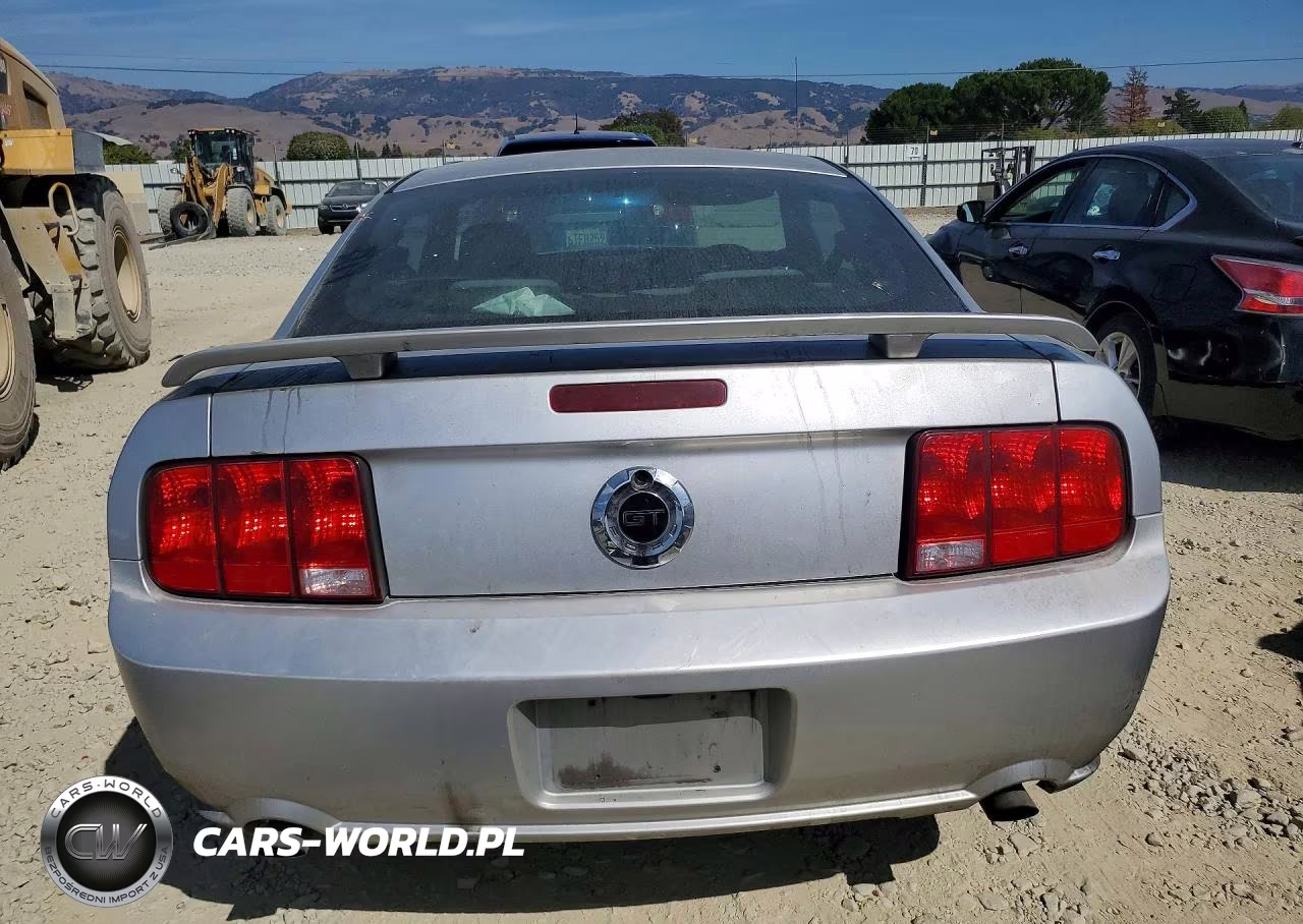2009 Ford Mustang Gt VIN:1ZVHT82HX95103533 - 6