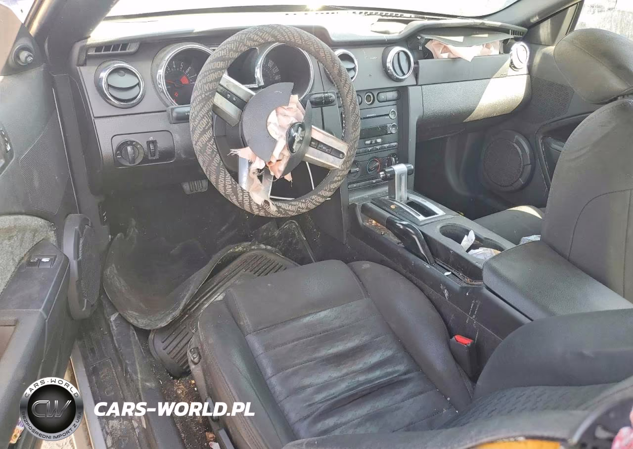 2009 Ford Mustang Gt VIN:1ZVHT82HX95103533 - 8