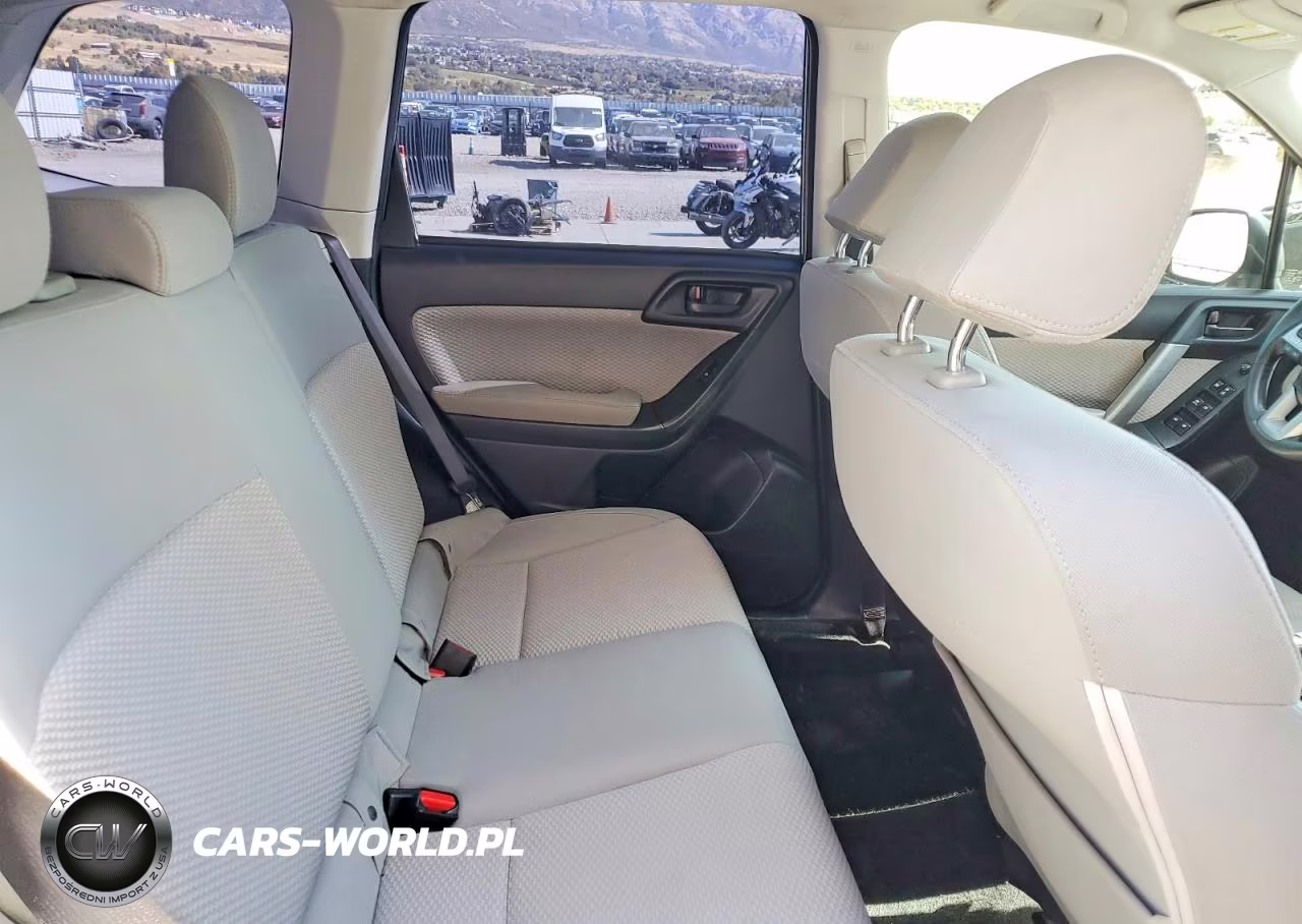 2017 Subaru Forester 2.5I VIN:JF2SJAAC4HH456666 - 10