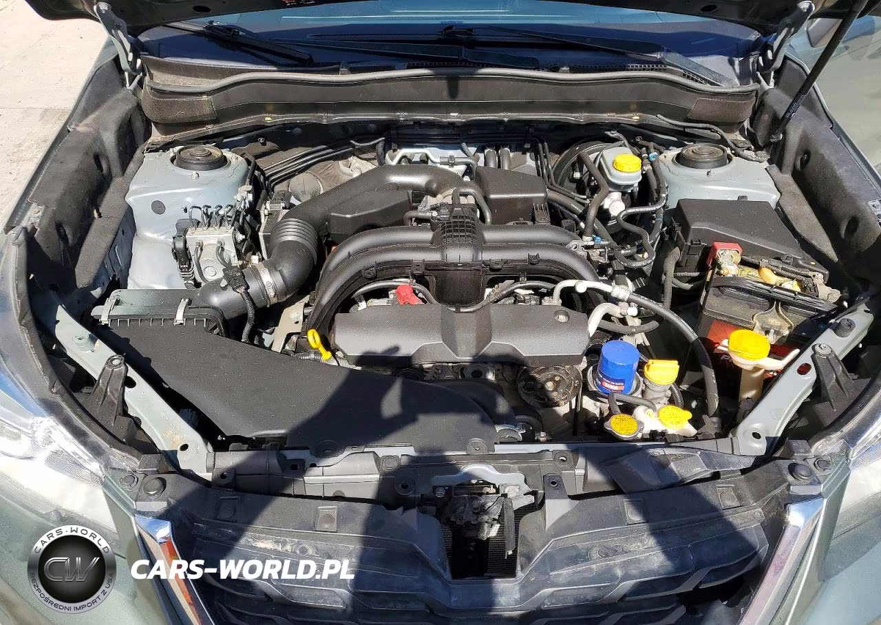 2017 Subaru Forester 2.5I VIN:JF2SJAAC4HH456666 - 11