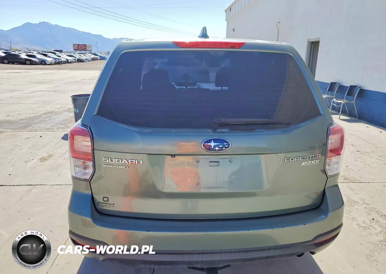 2017 Subaru Forester 2.5I VIN:JF2SJAAC4HH456666 - 6