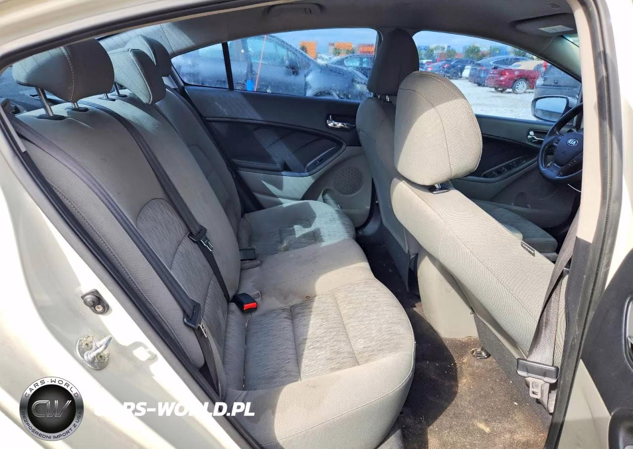 2015 Kia Forte Lx VIN:KNAFK4A65F5298987 - 10