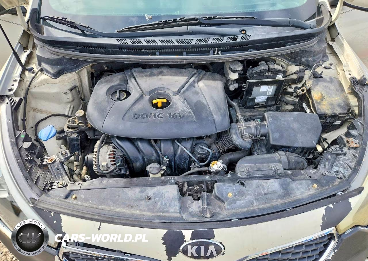 2015 Kia Forte Lx VIN:KNAFK4A65F5298987 - 11