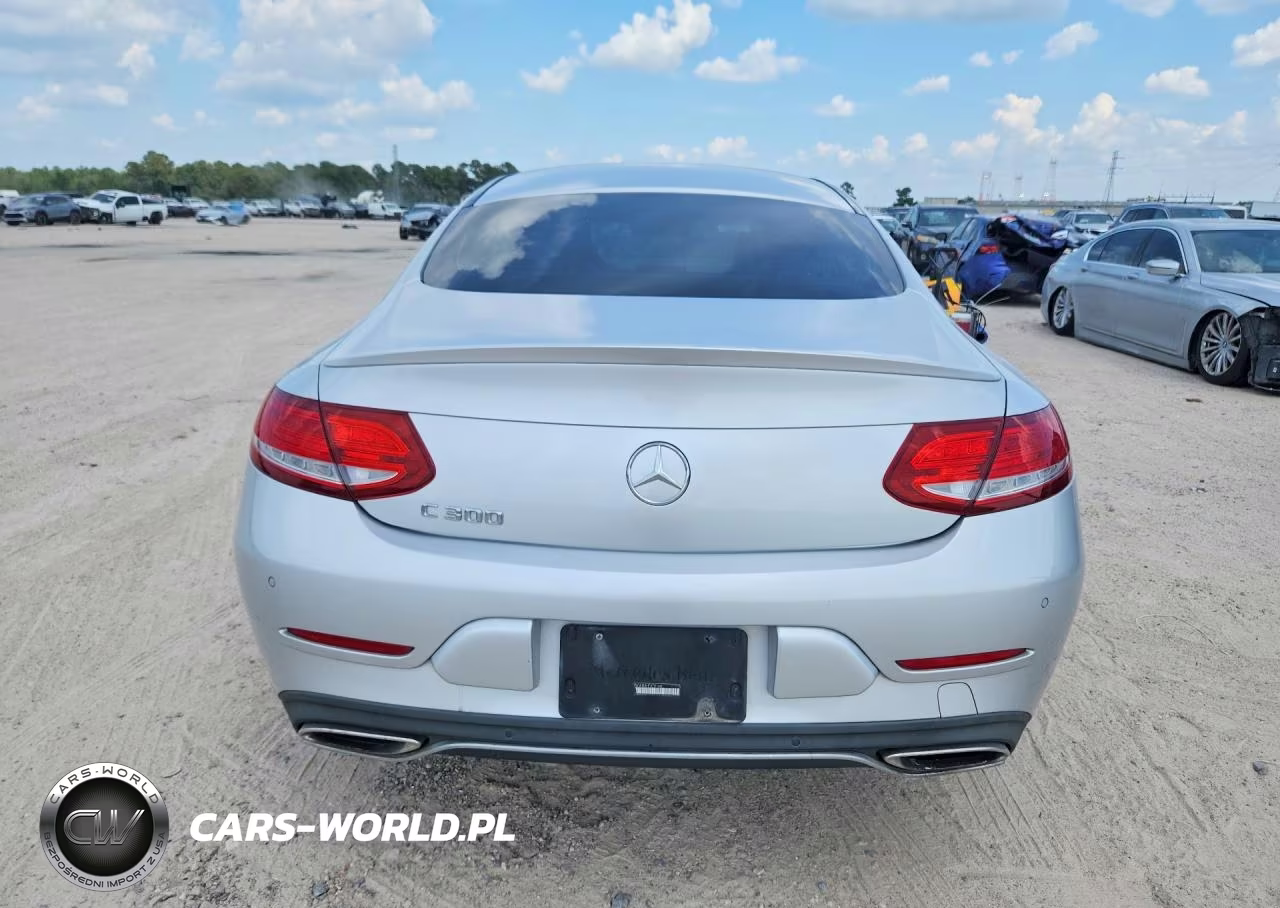 2017 Mercedes-Benz C 300 VIN:WDDWJ4JB4HF370168 - 6