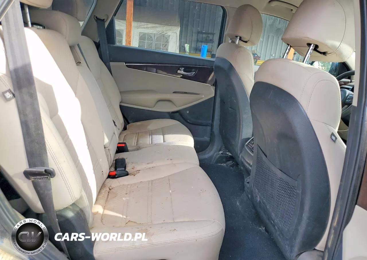 2017 Kia Sorento Lx V6 VIN:5XYPGDA51HG290816 - 11