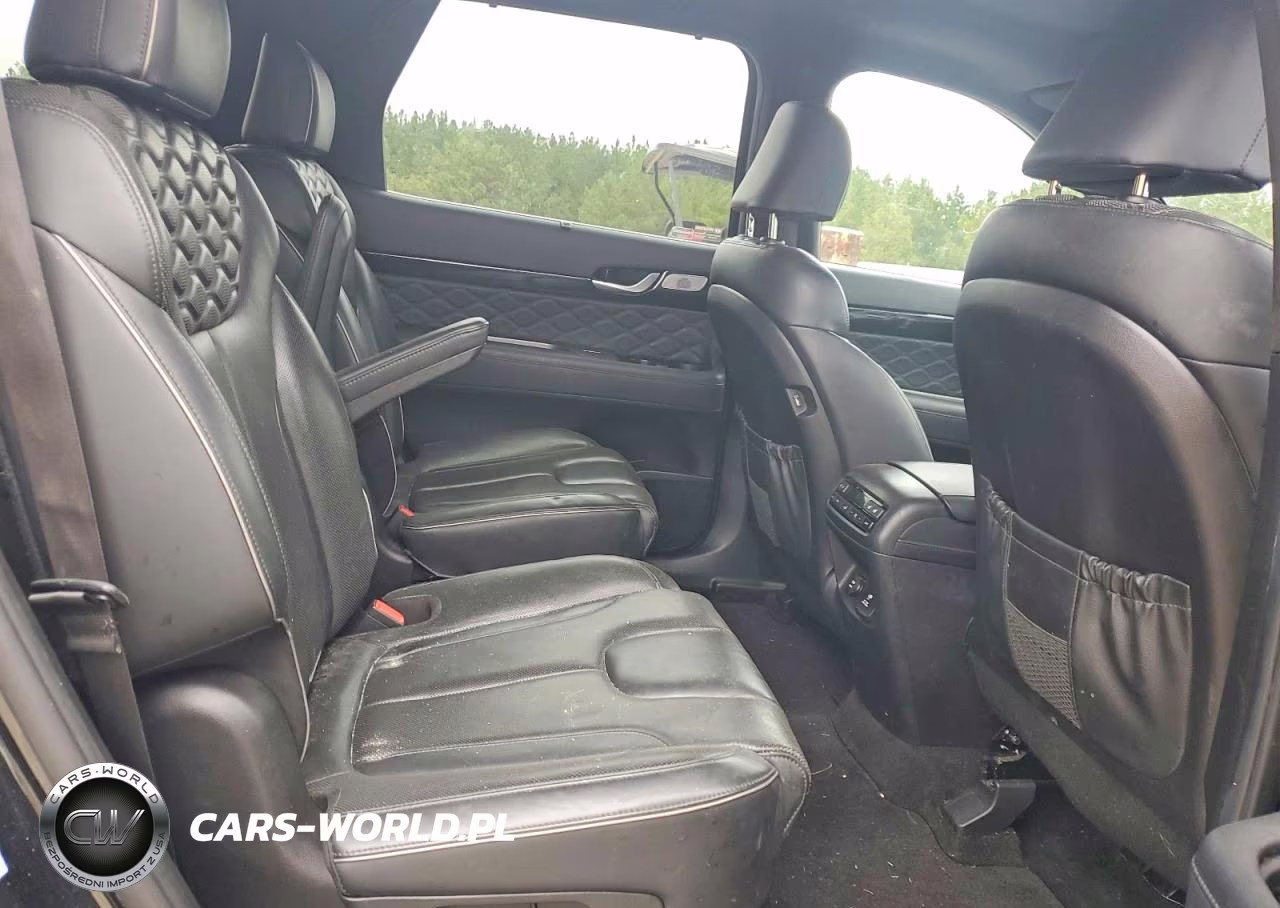 2021 Hyundai Palisade Calligraphy VIN:KM8R7DHE2MU187309 - 10
