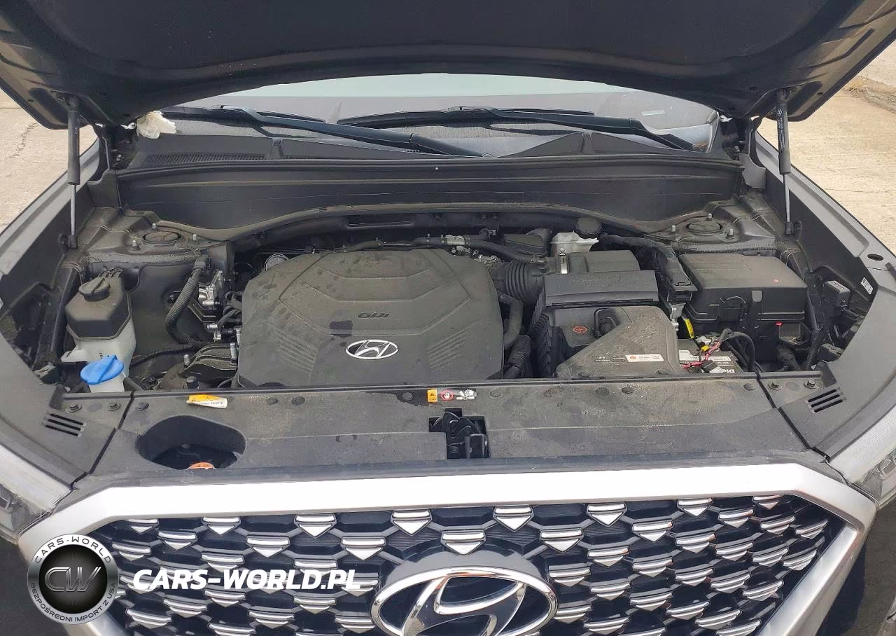2021 Hyundai Palisade Calligraphy VIN:KM8R7DHE2MU187309 - 11