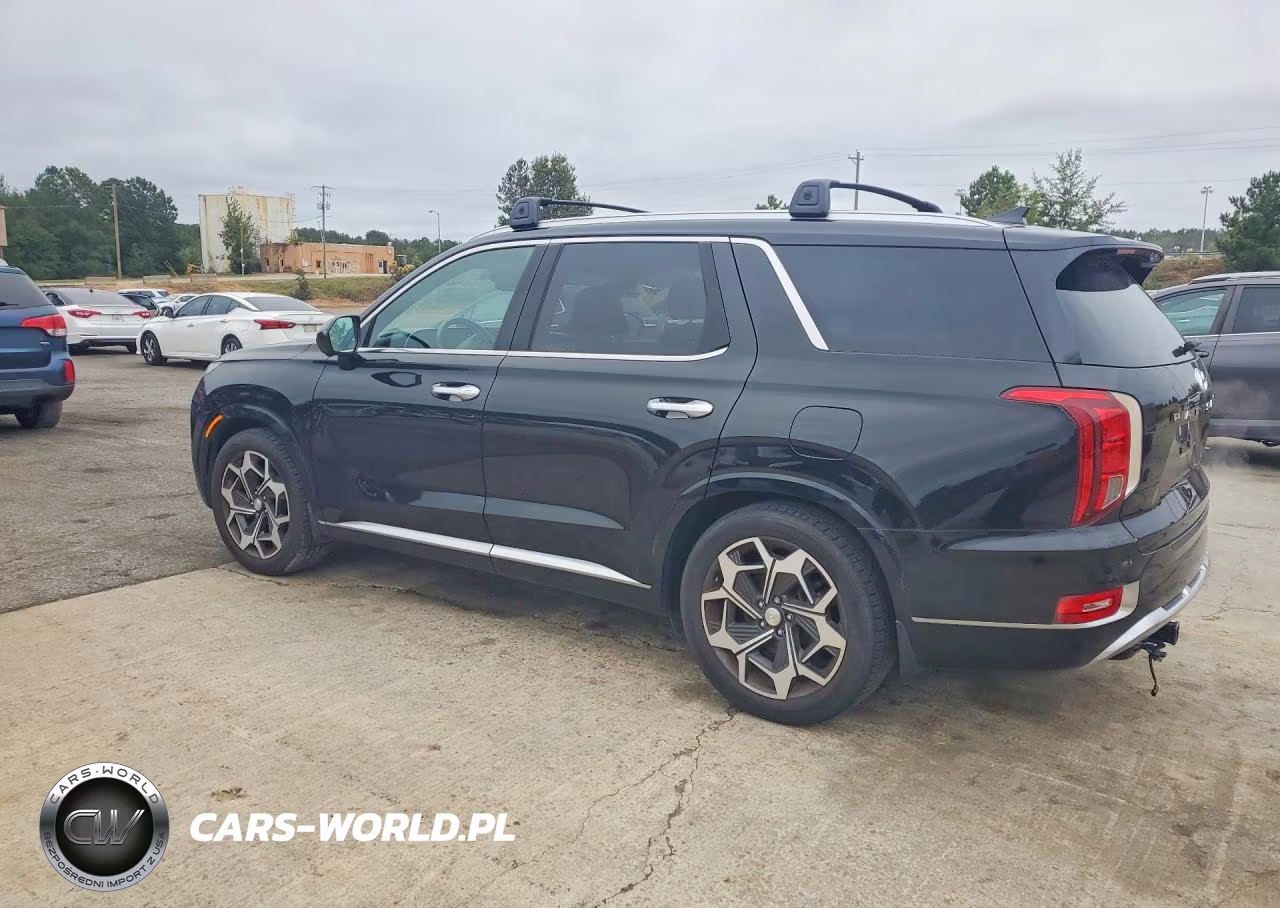 2021 Hyundai Palisade Calligraphy VIN:KM8R7DHE2MU187309 - 2