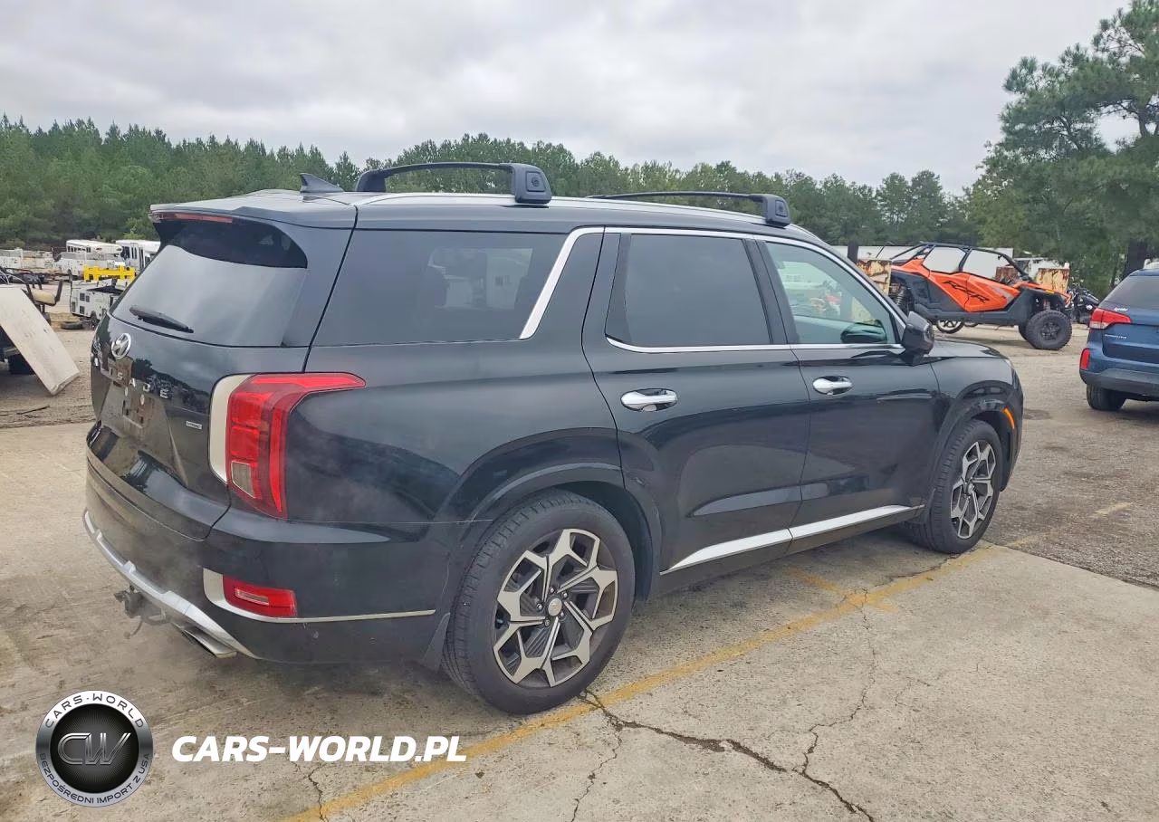 2021 Hyundai Palisade Calligraphy VIN:KM8R7DHE2MU187309 - 3