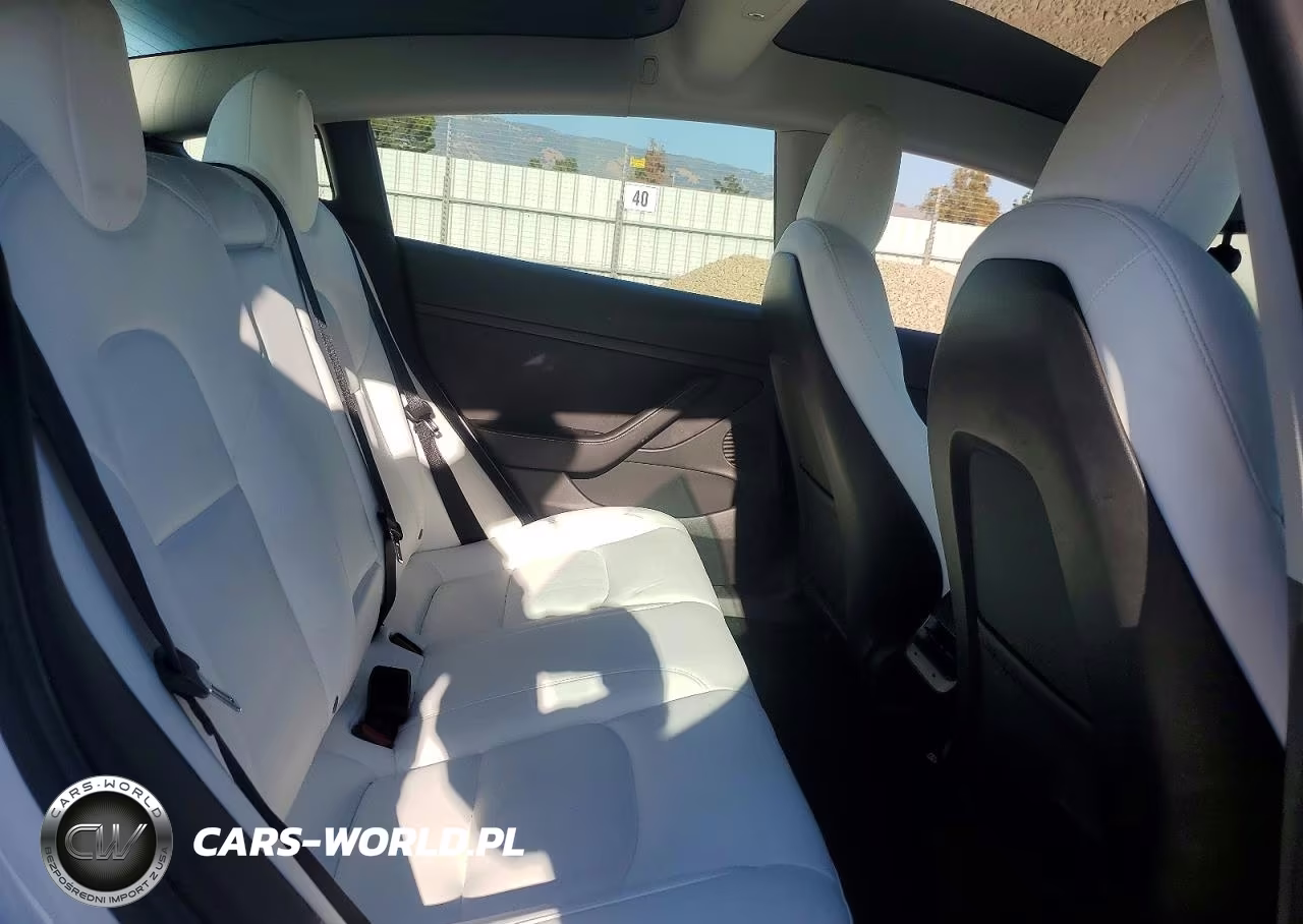 2021 Tesla Model 3 VIN:5YJ3E1EA9MF098734 - 10