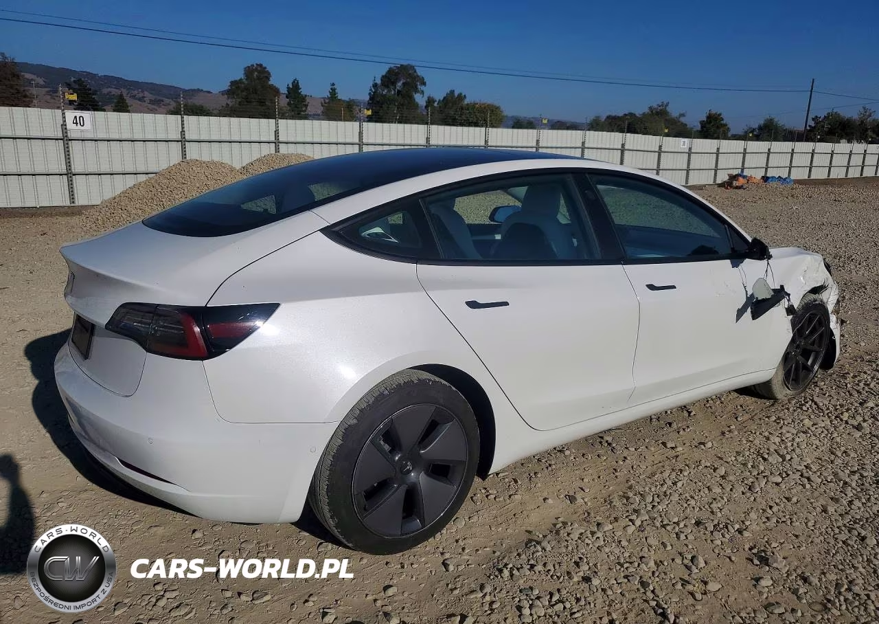 2021 Tesla Model 3 VIN:5YJ3E1EA9MF098734 - 3