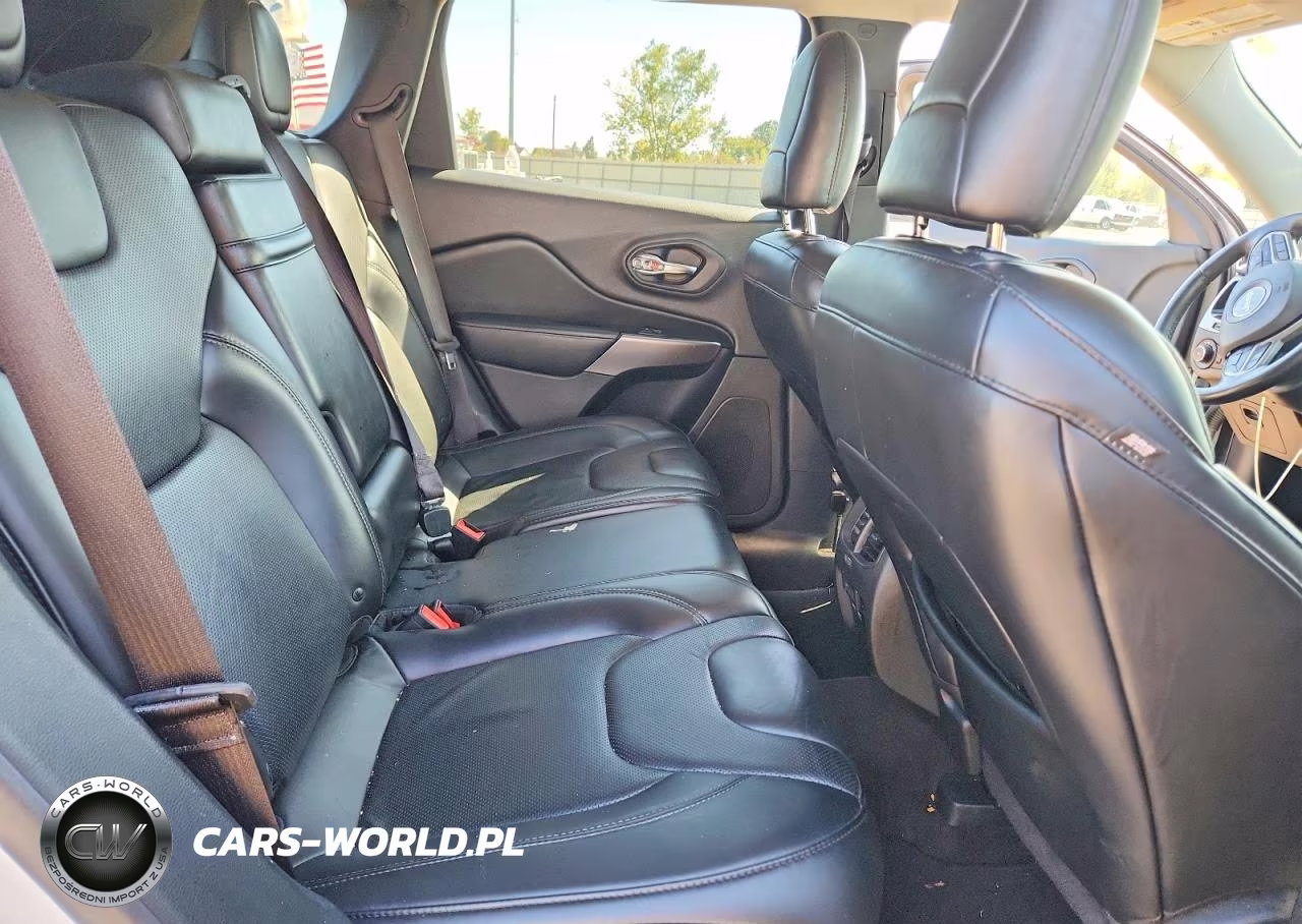 2019 Jeep Cherokee Limited VIN:1C4PJMDN4KD209066 - 11